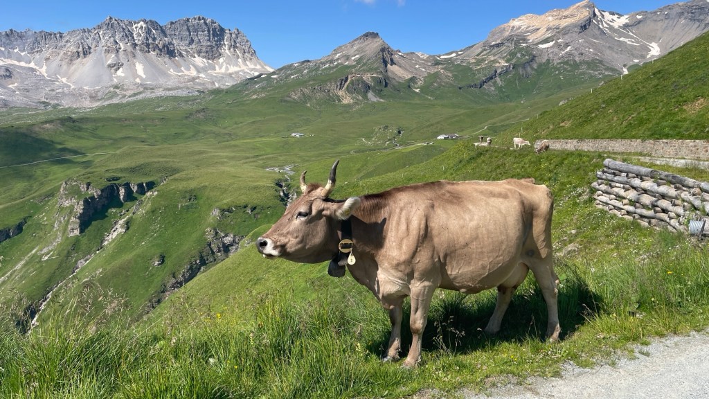 Ist täglicher Fleischkonsum&nbsp;gesund?